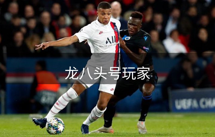 龙八头号玩家介绍
